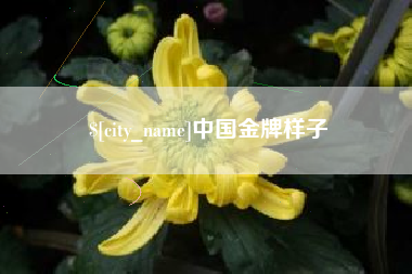 三门峡中国金牌样子