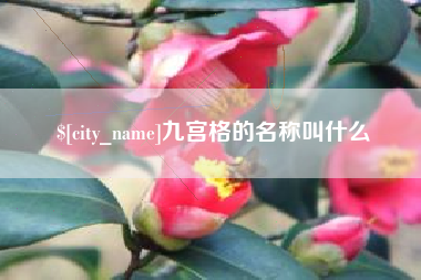 三门峡九宫格的名称叫什么