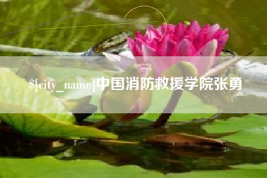 三门峡中国消防救援学院张勇