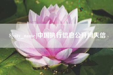 三门峡中国执行信息公开网失信