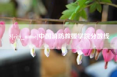 三门峡中国消防救援学院分数线